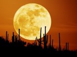 Луна, возможно, уменьшается в размере. Следы такого сжатия обнаружили американские ученые