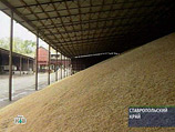 Власти Москвы отказались покупать зерно до стабилизации цен