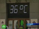 Столичные морги вошли в привычный режим работы: благодаря прохладе покойников стало вдвое меньше Столичные морги вошли в привычный режим работы: благодаря прохладе покойников стало вдвое меньше