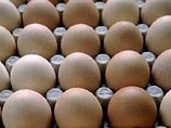 В США из продажи отзываются полмиллиарда яиц из-за угрозы сальмонеллы