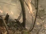 На Сицилии лесные пожары угрожают населенным пунктам и заповедникам