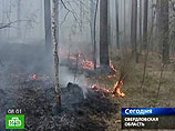 Число лесных пожаров в России вновь резко выросло