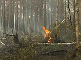 Огонь по-прежнему полыхает на нескольких сотнях гектаров лесов и торфяных полей и люди, пытающиеся остановить распространение огня, не справляются