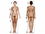 Оказалось, что мужчин больше всего привлекают женщины, окружность талии которых составляет ровно 70% от окружности бедер