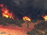 Сильный пожар охватил сосновые посадки на площади 303,5 га в 96 км к северо-западу от Лос-Анджелеса