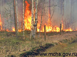 Шойгу сообщил, что пожарные отстояли от огня 4,5 тысяч населенных пунктов