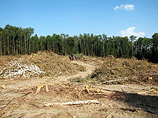 Эксперты: отказ от прокладки трассы через Химкинский лес затормозит строительство на 3 года