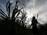 Власти Венесуэлы забрали землю Брито в 2003 году в рамках программы правительства по распределению земли между бедняками