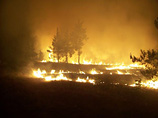В результате лесных и травяных пожаров в двух районах Волгоградской области загорелись дома в населенных пунктах