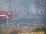 Природные пожары бушуют в Волгоградской и Саратовской областях, есть жертвы