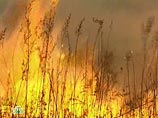 В Саратовской области вспыхнуло несколько природных пожаров, уже горят и дома
