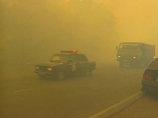 Верховые и низовые пожары охватили 200 гектаров леса под Тольятти