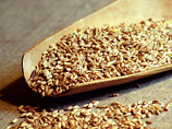 Financial Times: Продление запрета на экспорт российского зерна вызывает опасения по поводу мировых ресурсов продовольствия