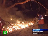 По факту новых природных пожаров в Волгоградской области, жертвами которых стали, по последним данным, шесть человек, органы Госпожнадзора возбудили пять уголовных дел