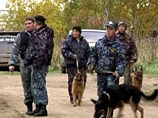 В Волгоградской области следователи изучают обстоятельства драки, в которой погибла девушка и милиционер