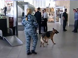 Инцидент на территории, прилегающей к аэропорту "Пулково", произошел еще 3 сентября 2010 года, однако стало известно о нем только сейчас