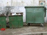 В Приамурье в мусорном контейнере найдено тело новорожденного