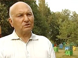 Мэр Москвы Юрий Лужков 6 сентября 2010 года подал в Савеловский районный суд города Москвы иск о защите чести