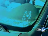 Калифорнийская полиция напугала родителей "медведем-педофилом" из интернета Калифорнийская полиция напугала родителей "медведем-педофилом" из интернета