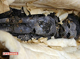В Екатеринбурге во время ремонта в квартире найдена мумия младенца, пролежавшая под паркетом 40 лет