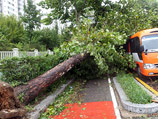 В КНДР десятки людей погибли в результате мощного тайфуна Kompasu, который обрушился на Корейский полуостров 2 сентября