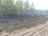 Два района Ульяновской области охвачены лесными пожарами - введен режим ЧС