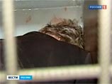 Мужчине, захватившему детсад в Москве, проверят психику - при задержании он покусал милиционера Мужчине, захватившему детсад в Москве, проверят психику - при задержании он покусал милиционера