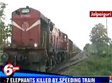В Индии машинист-лихач сбил товарным поездом семь слонов (ВИДЕО)