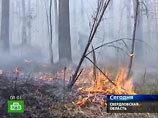 На Урале судят замдиректора заповедника "Денежкин камень", где сгорели леса на 17 млрд рублей