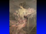 Найденная в заброшенной парижской квартире картина продана за 2,1 млн евро