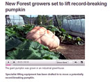 Английские фермеры-близнецы вырастили гигантскую тыкву, претендующую на мировой рекорд