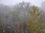 Снег  в Москве выпадет в ближайшие дни