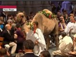 В нью-йоркском соборе под благословение подошли животные <b>(ВИДЕО)</b>