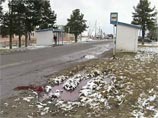 В Томской области арестован милиционер, пьяным сбивший на машине четырех школьниц