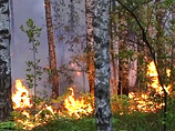 Минэкономразвития: аномальная летняя жара и пожары увеличили смертность в стране