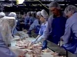 Производители заступились за мороженых кур, запрещенных Онищенко