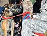 Использование собак-парашютистов было впервые опробовано американскими отрядами Delta. Они приучили животных во время прыжка дышать через кислородные маски
