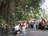 Активисты Химкинского леса намерены подать в суд на телевидение Химок
