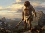 Неандертальцы взрослели быстрее людей современного типа