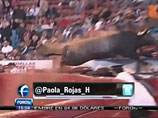 На корриде в Мехико бык перепрыгнул ограждение арены и бросился на людей (ВИДЕО)