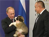 Щенка Путину подарил его болгарский коллега Бойко Борисов. Изначально пса звали Йорго, но потом было решено дать ему новое имя