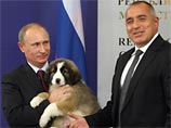 Путин попросил россиян придумать новое имя его собаке - болгарское ему не нравится