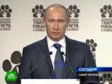 Все это весьма оценил премьер-министр России Владимир Путин, передает "Интерфакс". Как он выразился, Ди Каприо "прорвался в Санкт-Петербург как через линию фронта"