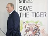 Путин и Ди Каприо поговорили о тиграх и русских корнях актера