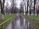 В Москве потеплеет до 6 градусов В Москве потеплеет до 6 градусов