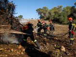 Лесной пожар близ Хайфы взят под контроль, жителям разрешили вернуться в дома