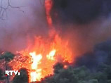 Огонь на севере Израиля потушен: 42 погибших, включая начальника полиции Хайфы