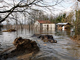 Из зоопарка в Черногории во время наводнения "уплыл" бегемот - уже второй раз за год (ФОТО)