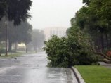 В Португалии ураганный ветер поранил 36 человек