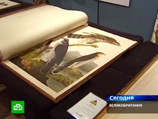 Редкое издание четырехтомника американского натуралиста XIX века Джона Джеймса Одюбона "Птицы Америки" было продано во вторник на торгах аукциона Sotheby's в Лондоне за беспрецедентные для печатной книги 7,3 миллиона фунтов стерлингов